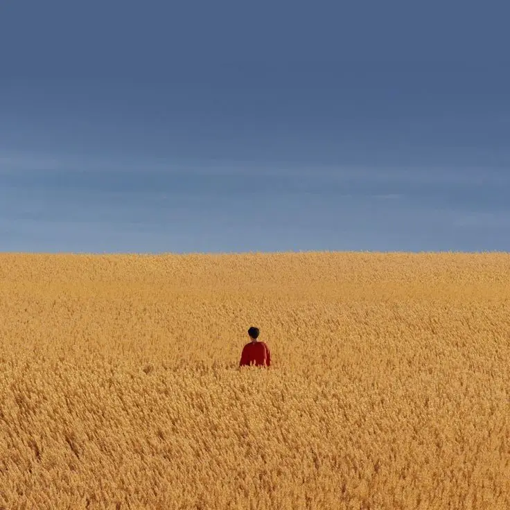 The Mindful Network Our Mission